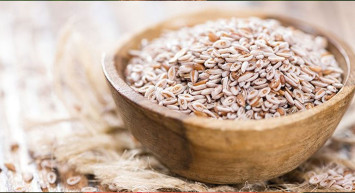 Şifa deposu karnıyarık otu nedir? Karnıyarık otu hangi hastalıklara iyi gelir? Karnıyarık otunun faydaları