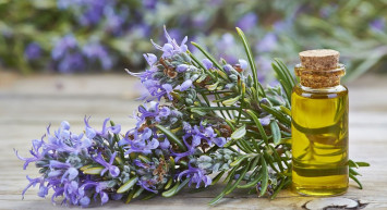 Şifa Deposu Mor Altın Lavantanın Faydaları