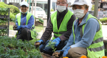 Sinop Yaz Sezonunu Açtı! 40 Bin Çiçek Ekiliyor