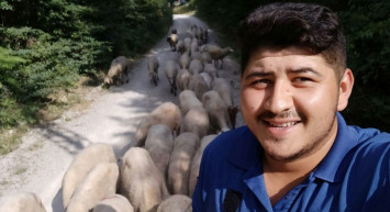 Sinop'ta Ay Yıldızlı Koyun Sürüsü Görenlerin İlgi Odağı Oluyor