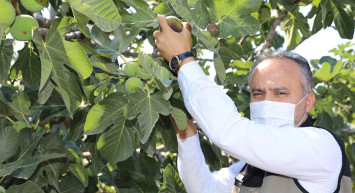 Siparişlere yetişilemiyor: Dünyada sadece Türkiye’de yetişiyor