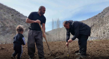 Şırnak’ta 25 Dönüm Arazisinde Devlet Destekli Meyve Bahçesi Kurdu