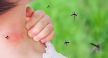 Sıtma tehlikesi: Uzmanlar alarm veriyor! Bu belirtiler sizi uyarıyor mu?