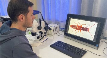 Sivas da bulundu: Bilim insanları uyardı, bu böcek türü…