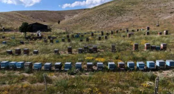 Sivas'lı zekası bir kez daha hayran bıraktı: Yaptığı düzenek ile ayıları yendi!