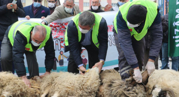 Sivas'ta İstanbul Sözleşmesi'nden Çıkılmasına Şükür Kurbanı Kesildi