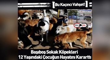 Sivas'ta köpek dehşeti: Panikle yola atlayan çocuğa araba çarptı! Metrelerce havaya fırladı