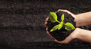 Sizlere dünyanın en sağlıklı antidepresanını öneriyoruz!