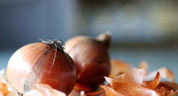 Soğan Kabuğu İdrar Yolu Enfeksiyonunun Doğal İlacı