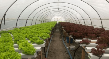 Soğuk hava ve yağmur ülke genelinde etkisini gösteriyor, Akdeniz’i hortum ve fırtına vurdu