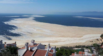 Son dakika: AK Parti müsilaj ile ilgili kanun teklifini TBMM Başkanlığı'na sundu!