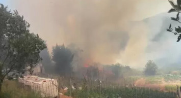 Son Dakika: Beykoz’da korkutan orman yangını, ekipler müdahale ediyor