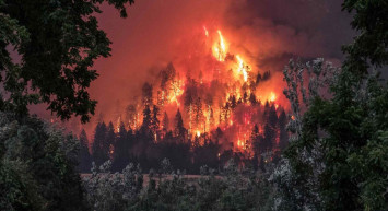 Son dakika: Bursa Uludağ’da korkutan yangın! Helikopterler olay yerine sevk edildi