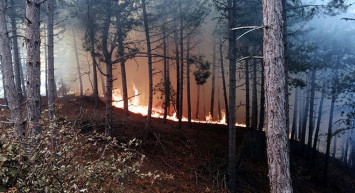 Son dakika: İzmir'de hareketli anlar! Orman yangınına müdahale ediliyor!
