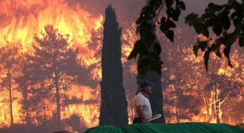 Son Dakika: Tarım ve Orman Bakanı Açıkladı! 7 İlde 36 Noktada Yangın Çıktı