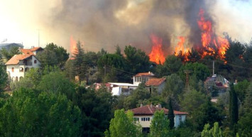 Son Dakika: Yangın Felaketi Dur Durak Bilmiyor! Uşak'ta Ormanlık Alanda Yangın Meydana Geldi
