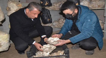 Sosyal medya ilham kaynağı oldu: Girişimci Macit Han, evini üretim tesisi haline getirdi!