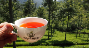 Sri Lanka, İran'a Olan Petrol Borcunu Çay İle Ödemeyi Planlıyor