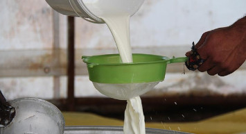 Süt fiyatları: A101, ŞOK, MİGROS, CarrefourSa 2022 süt fiyat listesi