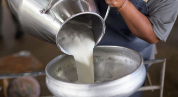 Süt fiyatlarına zam kapıda: Çiğ süt tavsiye fiyatına zam mı geldi? Çiğ süt fiyatı ne kadar oldu 2024?