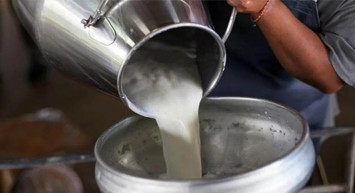 Süt üreticilerine müjde: 1 Ekim’de başlıyor