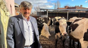 Süte gelen zammın ardından yem fiyatları da tavan yaptı! Besicilerin hevesi kursağında kaldı