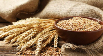 Tahıl Koridoru ekonomiye nefes aldırdı: Fiyatlar yarı yarıya düştü