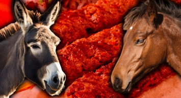 Tarım Bakanlığı Sahtecileri İfşa Etti: Vatandaşa At ve Eşek Eti Yediren Markalar Açıklandı