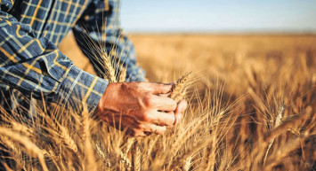 Tarım Bakanlığı’ndan çiftçileri mutlu edecek destek: TAKE Projesine 520 milyon TL ayrıldı!