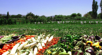 Tarım sektörü Ocak ayında rekor kırdı: Tüm zamanların en yüksek seviyesi