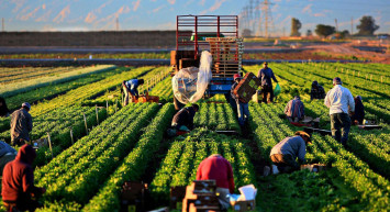 Tarım ve Orman Bakanı’ndan binlerce kişinin beklediği haber geldi: Destek ödemeleri bugün hesaplara yatıyor