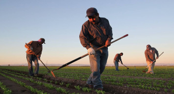 Tarım ve Orman Bakanlığı’ndan açıklama: Ödemeler bugün hesaplara yatırılıyor
