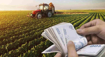 Tarım ve Orman Bakanlığı'ndan çiftçilere destek! Karşılıksız olarak 5000 TL destek sağlanacak