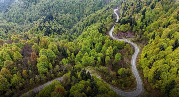 Tarım ve Orman Bakanlığı'ndan Orman Yangınlarına Karşı Kritik Uyarı