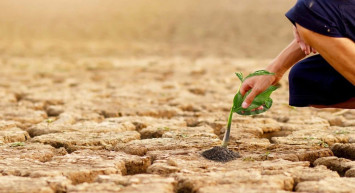 Tarımda kötü haber: Yağışlar alarm veriyor
