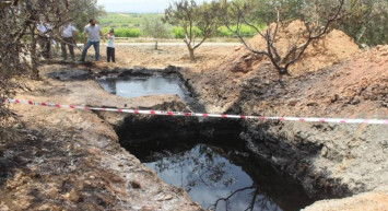 Tarlasından servet akıyor: 50 milyon dolar teklif ettiler