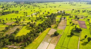 Tatil bölgesinde satışa çıkartılan arsa durduğu yerden kazandıracak! Milli Emlak paylaştı