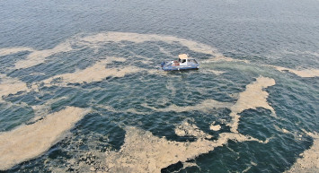 Tehlike Artıyor! Deniz Salyası Rotasını Ege Denizi'ne Çevirdi