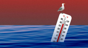 Tehlike kapıda: Akdeniz bölgesi iklim değişikliğiyle birlikte adeta kaynıyor!