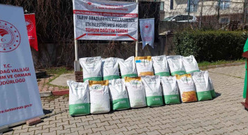 Tekirdağ'da ayçiçeği ithalatına karşı yerli tohum: Tarım ve Orman Bakanlığı üreticiye 2 buçuk ton hibrit tohum dağıttı!