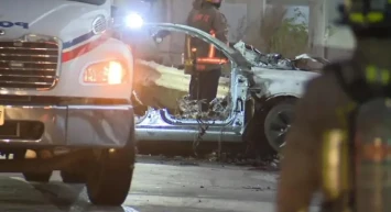 Tesla'nın kapı faciası