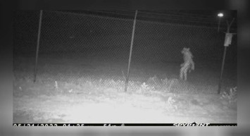 Texas kameraya yakalanan gizemli yaratık ne? Texas hayvanat bahçesinde kafa karıştıran görüntü