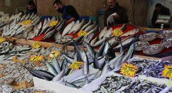 Tezgahlar Bereketlendi Balık Fiyatları Düştü