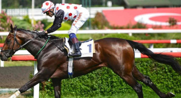 TJK seyislik kursu başvuruları başladı mı, nasıl yapılır? TJK seyislik kursu başvuru şartları