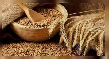 TMO buğday alım fiyatları açıklandı mı? TMO buğday alım fiyatları ne zaman açıklanır? Toprak Mahsulleri Ofisi 2022 buğday alım fiyatlarında son durum