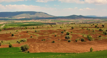 TOKİ detayları açıkladı: 50 ilde 575 arsa satılacak