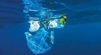 Tüm Karadeniz'e bulaştı!