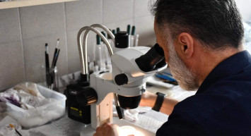 Türk bilim insanlarından tarihi keşif: Dünya literatürüne geçti