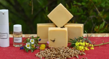 Türk bilim insanlarının sinekten ürettiği kozmetik maddeye Avrupa ülkelerinden büyük ilgi