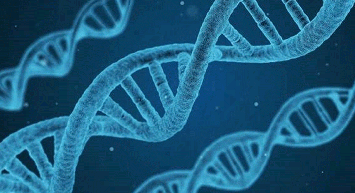 Türk Toplumunun Genetik Kodları Araştırması 10 Yıl Sonra Sonuç Verdi